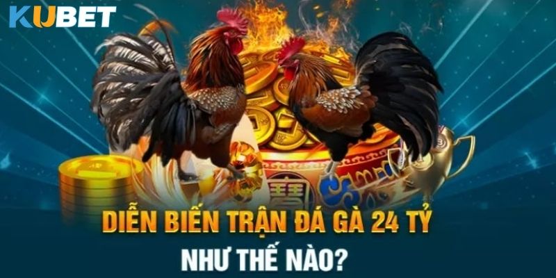 Thông tin về trận đá gà 24 tỷ tại kubet